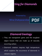 Prospecting For Diamonds: Mina Shahpasandzadeh