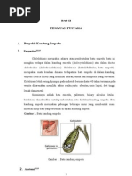Download Cholelithiasis by Andrei Rizqan Akmal SN114060789 doc pdf