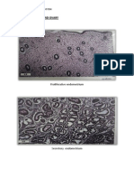 Practical Genital - Histology of Ovary and Uterus