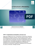 Tema 17. Degradacion de Aminoacidos