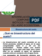 Bioestructura Del Suelo