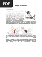 Pintando La Casa | PDF | Rodilla | Pie