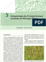 05 - Histopatologia das principais doenças estudadas em micologia médica