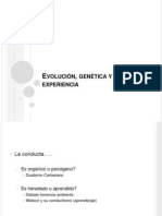 Evolución, Genética y Experiencia