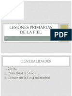 Lesiones Primarias de La Piel