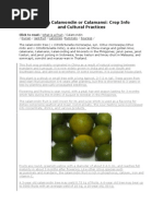 Download Calamansi Farming Tips by ptsievccd SN114100530 doc pdf