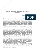 Plantas Medicinales para El Temazcal Mexicano