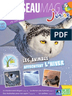 L'Oiseau Magazine Junior n°9 (Extrait)