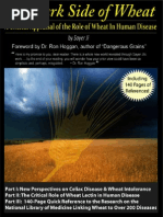 Download DarkSideWheatGreenMedInfoStorepdf by Jeanne De Wet SN114110343 doc pdf