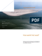 Hoe Werkt Het Wad?