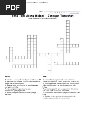 Kunci jawaban tts zat kayu pada tumbuhan