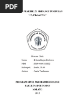 Download Laporan C3 C4 dan CAM by Kacong Ganooler SN114136360 doc pdf