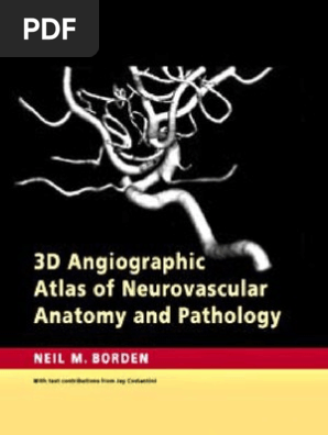 3d Angiographic Atlas Of Neurovascular Anatomy And Pathology Aorta Common Carotid Artery