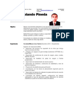 CV Ruben Pineda