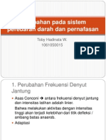 Perubahan Pada Sistem Peredaran Darah Dan Pernafasan