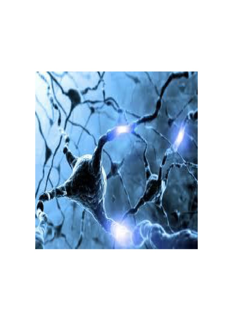 Reshape Your Brain... and Reality | PDF | Meditation | Mind