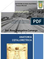 Anatomia Cefalometrica