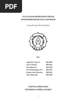 Download Tugas Dasar Reproduksi Ternak by Danu Wijanarko SN114171710 doc pdf