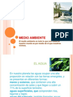 Presentaciones Del Medio Ambiente Yeisi