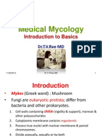 Medical Mycology Basics