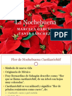 La Nochebuena