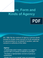 Nature, Form and Kinds of Agency