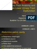 female pelvis function