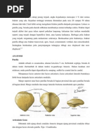 Download Fraktur Patella by ipoelldoang SN114199483 doc pdf
