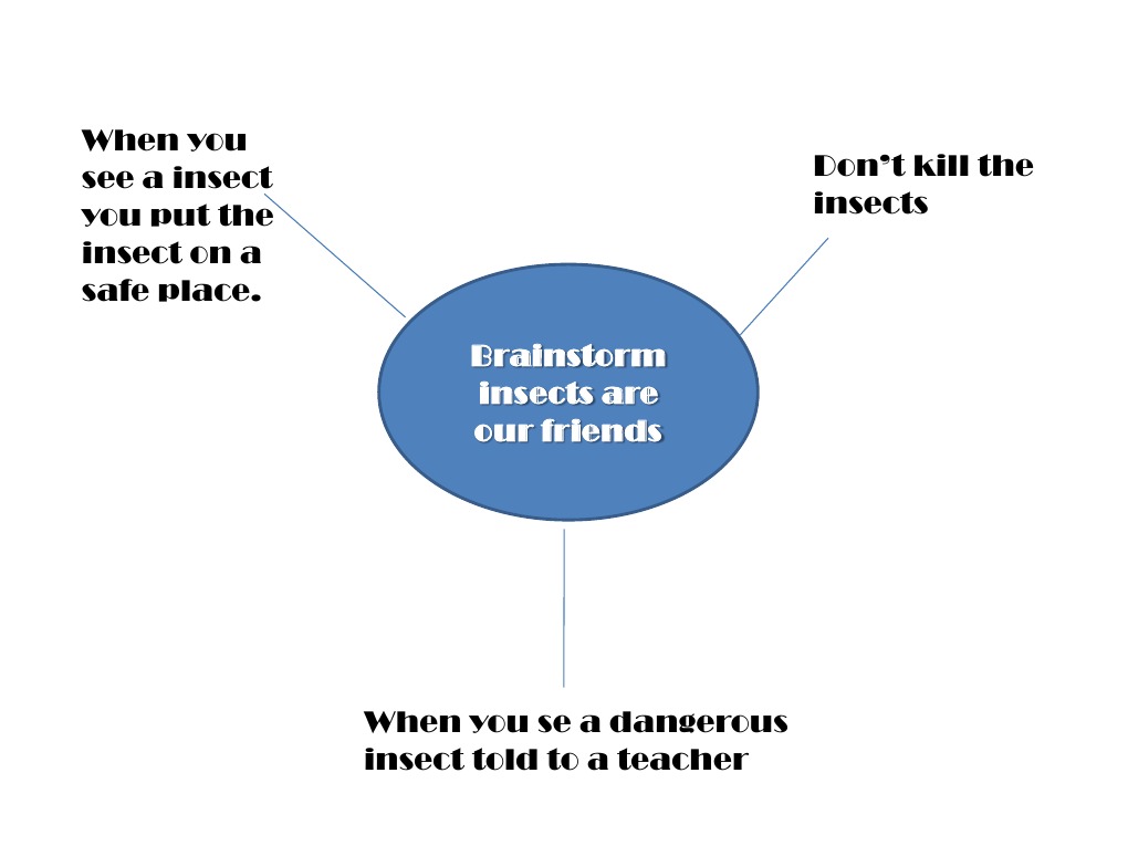 Brainstorming on Insect Safety | PDF