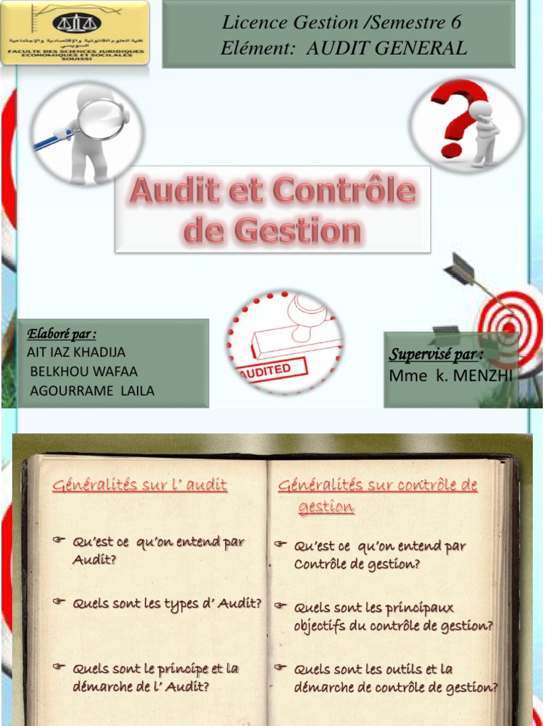 Audit Et Controle de Gestion | PDF | Audit | Business