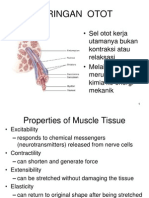 Fisiologi Otot