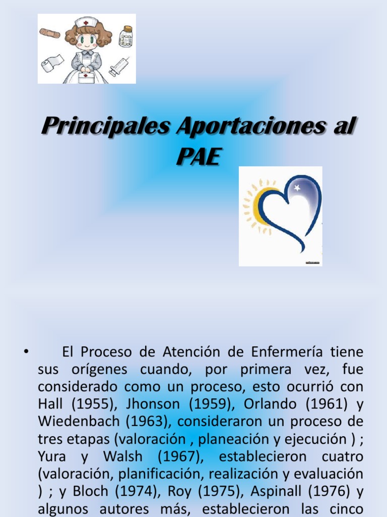 Principales Aportaciones Al PAE Enfermería Planificación