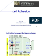 Cell Adhesion