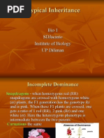 Download Genetics of Diseases II 2008-2009 by frances leana capellan SN11428298 doc pdf