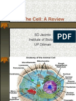 The Cell: A Review: SD Jacinto Institute of Biology UP Diliman