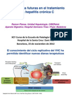 Perspectivas futuras 23 11 2012.pdf