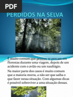 Perdidos Na Selva