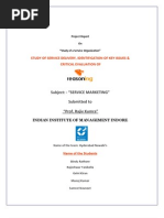 Download Project Report-Service Marketing by Bindu Rathore SN11431352 doc pdf