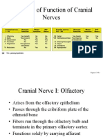 150 Cranial Nerves