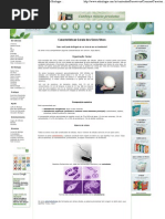 _ Características Gerais dos Seres Vivos - Só Biologia _