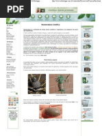 _ Nomenclatura Científica dos Seres Vivos - Só Biologia _(parte 2)