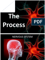 Nervous System Process and Diseases