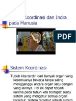 Sistem Koordinasi Dan Indra Pada Manusia