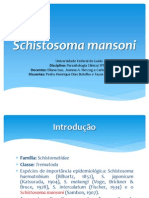 Schistosoma Mansoni - Pedro e Tayse