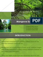 Mangrove Ecosystem: CH10B043 Nitesh Rewar CH10B048 Smit Patoliya CH10B050 Prakhar Dutt