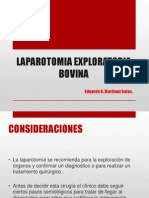 Expo Laparotomia bovinaFINAL