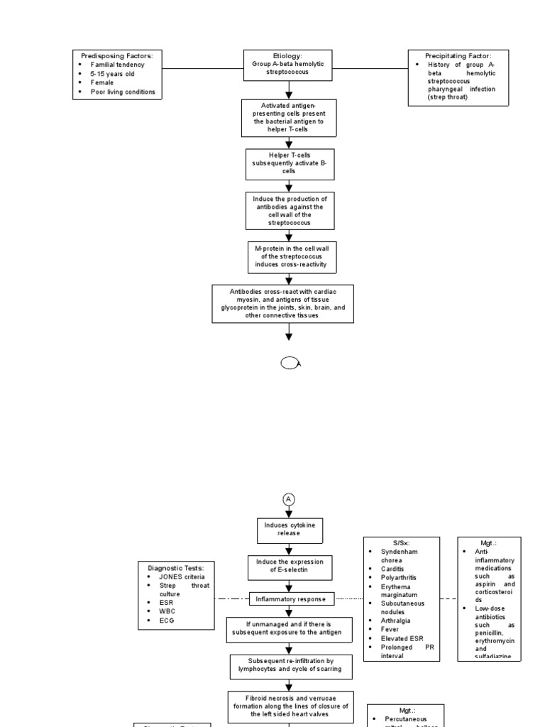 Rheumatic Heart Disease Pathophysiology | PDF | Medicine | Circulatory ...