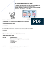 Ecto-Meso-Endo-Dermal Layers