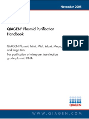qiagen plasmid mini midi and maxi kits