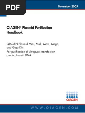 qiagen plasmid mini midi and maxi kits